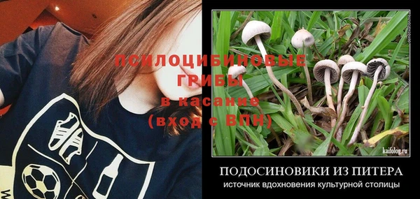 PSILOCYBIN Богородицк